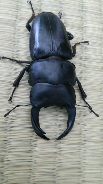 20160320222412332.jpg