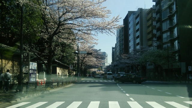 20160401041144619.jpg