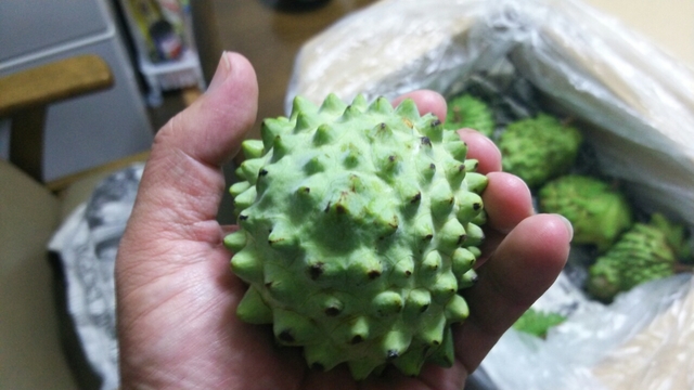 20160407092529674.jpg