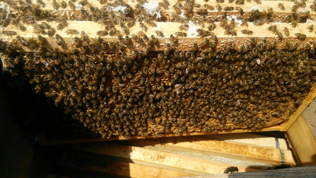 20160426201438411.jpg