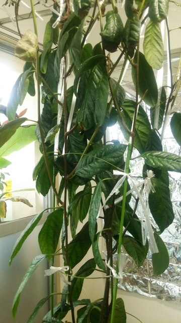 20160428051730318.jpg