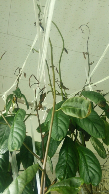 20160429091529098.jpg
