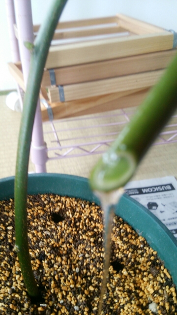 20160525024838951.jpg