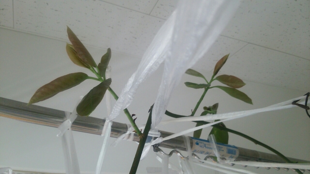 20160531092051298.jpg