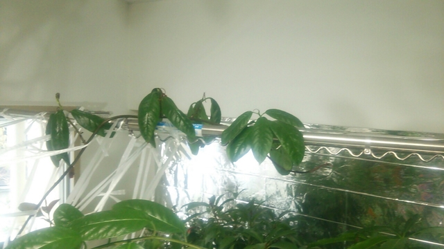 20161111131400821.jpg