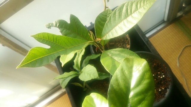 20161117080039749.jpg