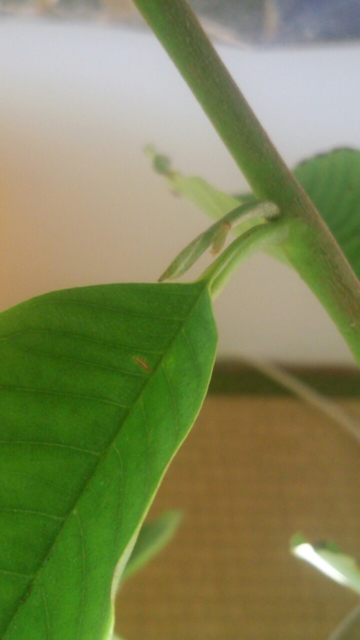 20170116105653302.jpg
