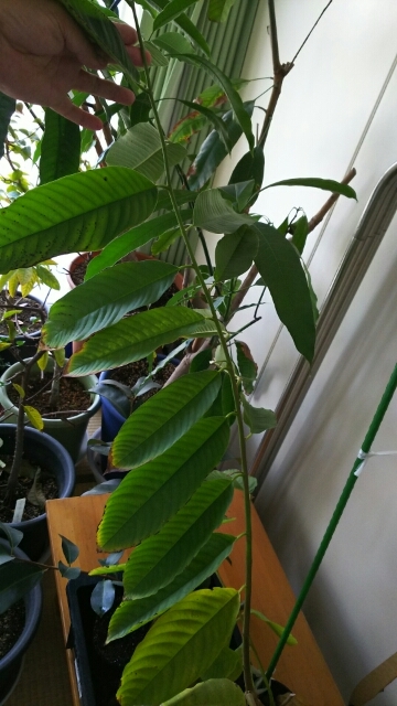 20170322071504176.jpg