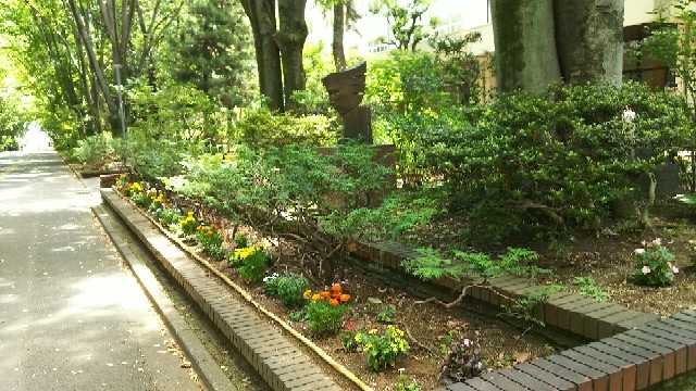 20170713093451997.jpg