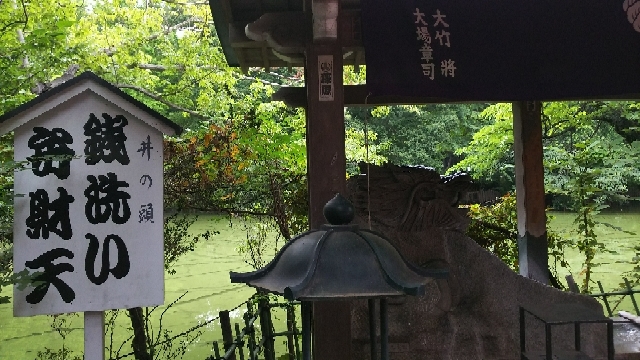 20170812003128594.jpg