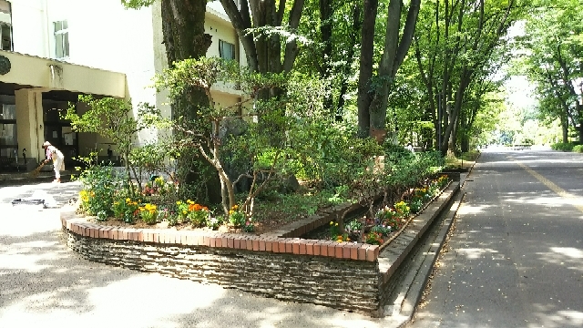 20170902152808393.jpg