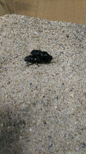 20170906150845239.jpg