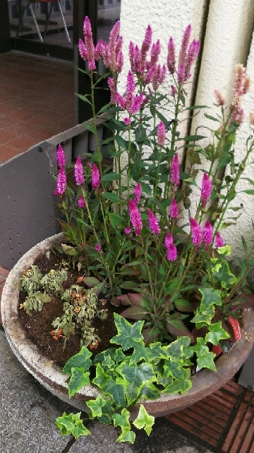 20171001100835330.jpg