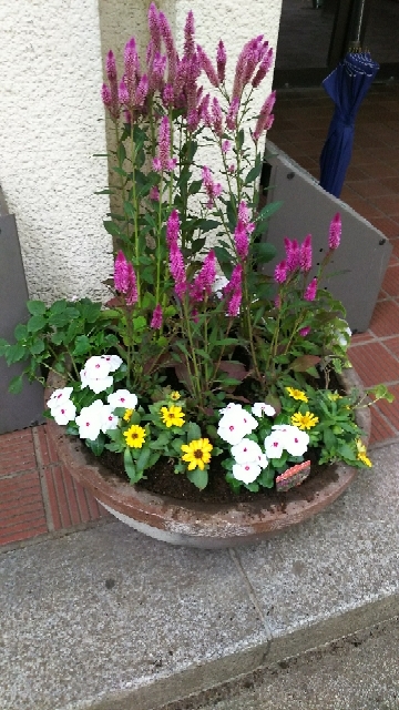 20171001101600880.jpg