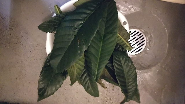 20171210162534161.jpg