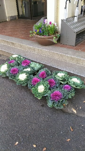 20171214202145264.jpg