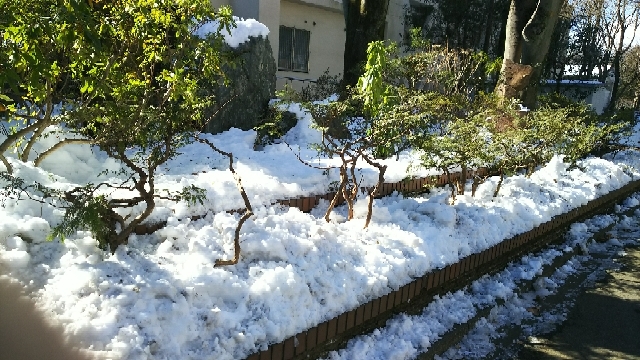 20180210182301015.jpg