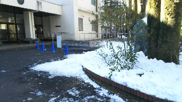 20180309134508505.jpg