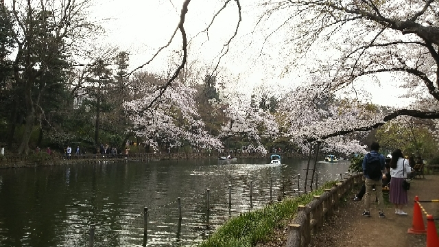 20180328092522350.jpg