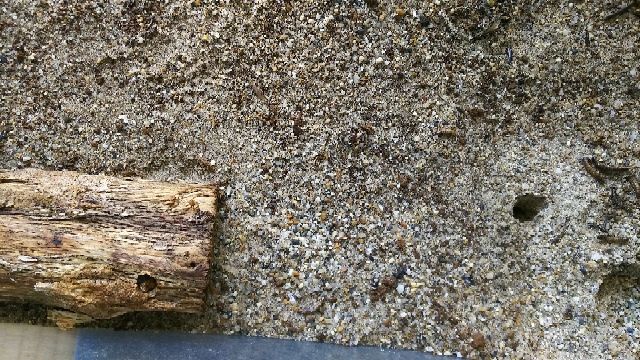 20180502110113673.jpg