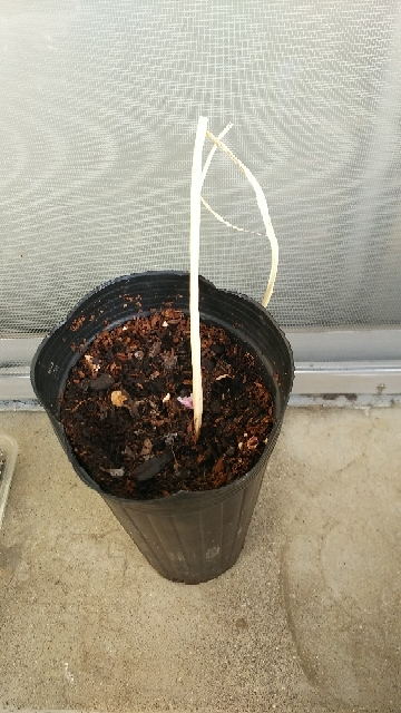 20210413071711453.jpg